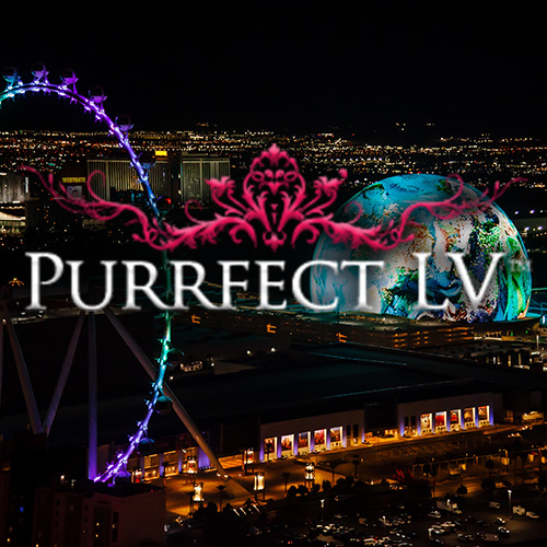 Naughty Vegas on premises Play Party on the Strip